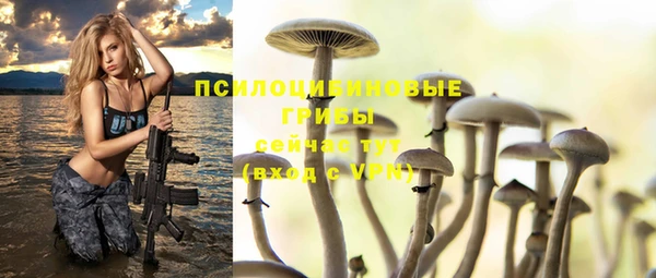 индика Абинск