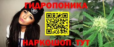 spice Ипатово